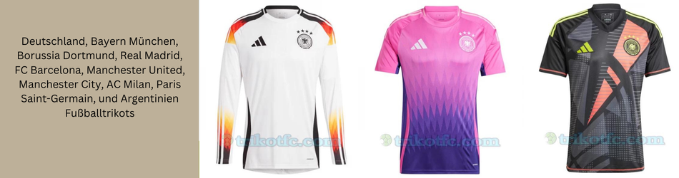 Premier Paint Protection, Coatings & Window Tint Shop in Roanoke, TX
   